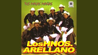 Video thumbnail of "Los Hermanos Arellano - Lloraba Entre Mis Brazos (La Arrimada)"