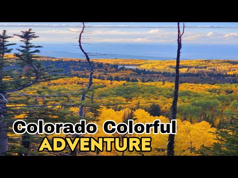 THE BEST FALL