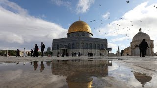 دروس تعلمتها من فلسطين Lessons I've Learned from Palestine