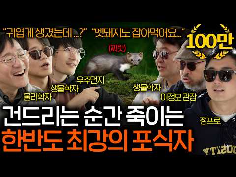 우리나라 생태계를 장악해버린 야생 동물의 끝판왕은 누구일까? | 과학을 보다 EP.160