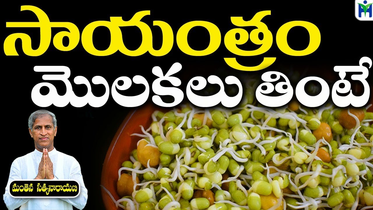 సాయంత్రం  మొలకలు తింటే | Manthena Satyanarayana Raju Videos|Health Mantra|