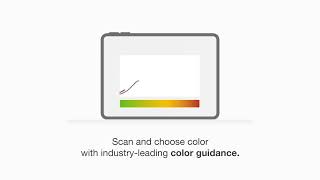 Color Identification