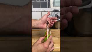 Spray caseiro com casca de limão que afasta insetos #BrasilDIY #TruqueFácil #SoluçãoCriativa