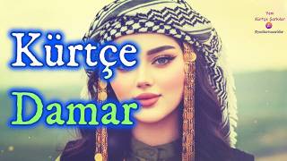 Kürtçe Yeni Damar Şarkılar (Çaven Te) 2026