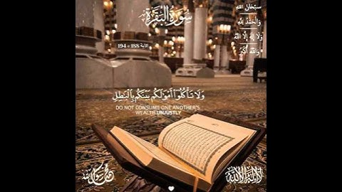 #سورة_البقرة 🤍[ #الآية 188 » 194 ] "اقرؤوا القرآن فإنَّه يأتي يوم القيامة شَفِيعًا لأصحابه" , #quran
