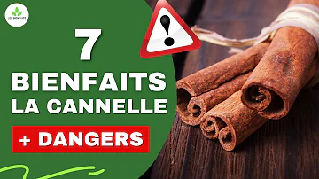 Quels sont les bienfaits de la cannelle ?