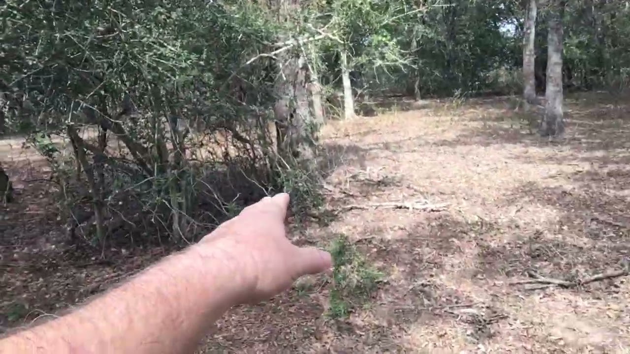 Using Way Points to Catalog Hidden Food Source Locations in SHTF Survival 