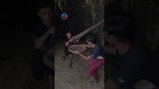 the discovery of a chicken inside a bamboo segment #shortvideo