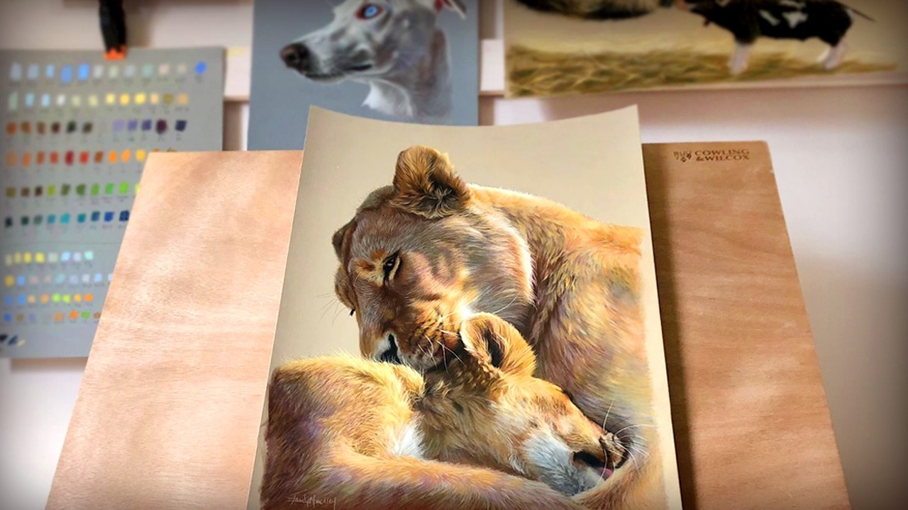 Pastel Pencil Drawing Techniques for Lions, Wildlife Art Tutorials - Emily Rose