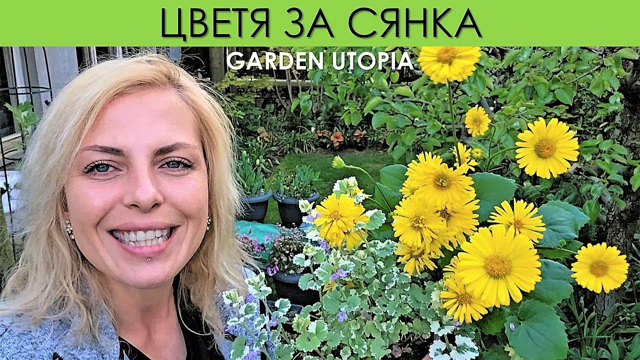 ЦВЕТНИ композиции за СЯНКА