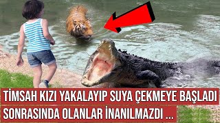 Timsah Kızı Yakalayıp Suya Çekmeye Başladı, Sonrasında Olanlar Duyanları Hayretler İçinde Bıraktı