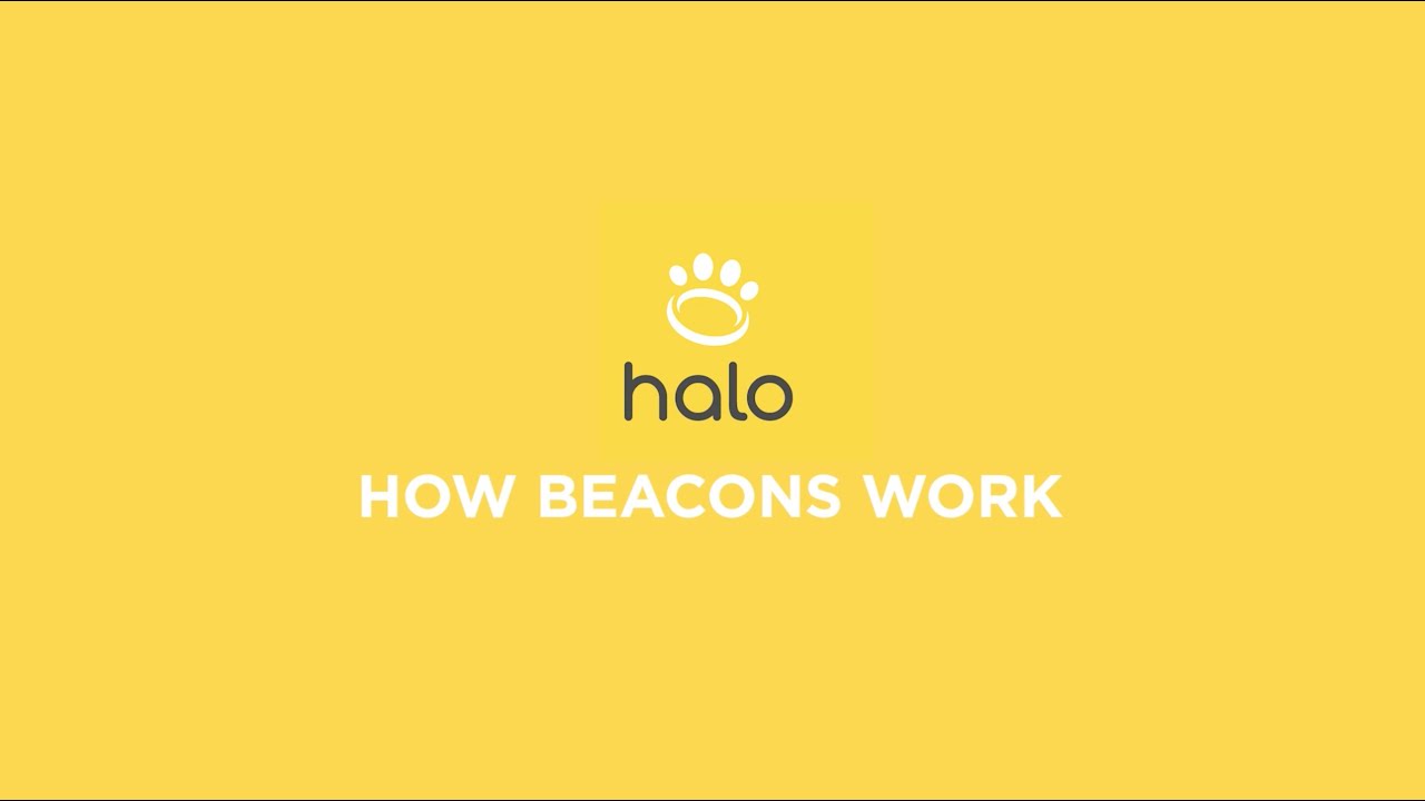 How Halo Collar Beacons Work