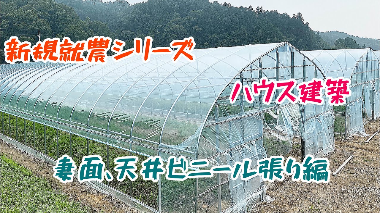 天井ビニール張り　#新規就農、#ハウス、#天井ビニール、#グリーンカウベルグループ