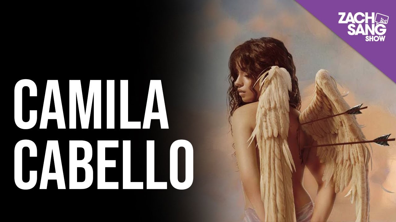 Shameless camila текст. Camila Cabello Liar обложка. Обложка песни Shameless Camila Cabello. Liar песня Camila Cabello. Liar Камила Кабельо.
