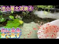 【池小屋大改装】④金魚を池に大移動！ビオトープ