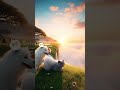 #IslandLife #cuteanimals #catanddoglove #petsland