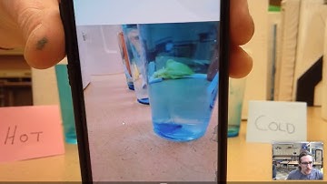 W22D1 | Food Coloring Lab: How does water temperature affect food dye spreading?