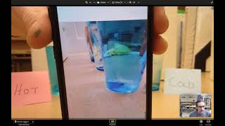 W22D1 | Food Coloring Lab: How does water temperature affect food dye spreading?