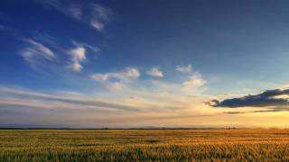 Roger Shah pres. Black Pearl - Java (Dust & Heatcliff Remix)