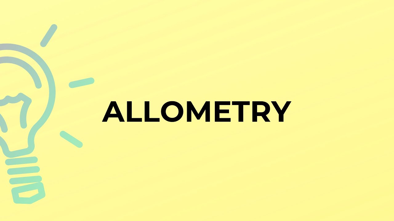 What is the meaning of the word ALLOMETRY?