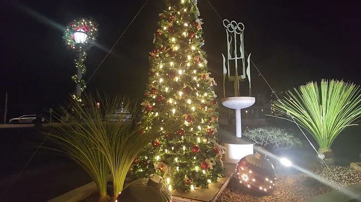 Monterey Park Calif Christmas Night