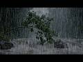 Heavy Rain for Sleeping Fast | Calm Forest Rain Sounds All Night