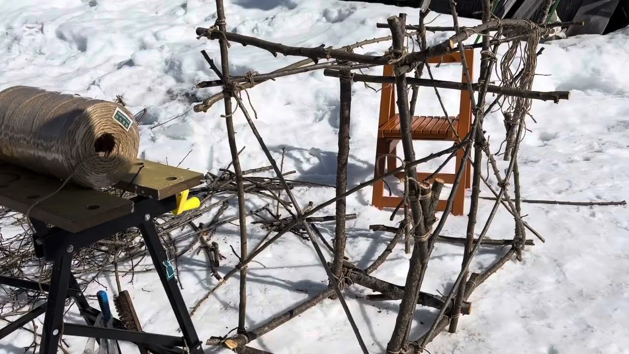 梅の枝で棚を作ってみた