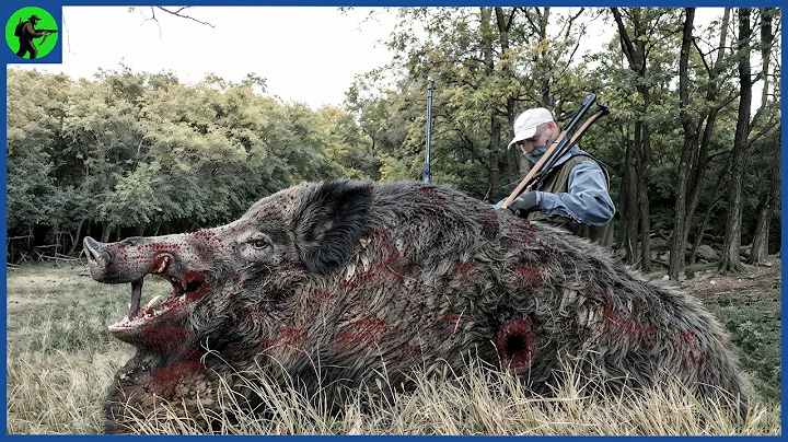 How Do California Hunters Deal With Thousands Of Feral Hogs | Farming Documentary