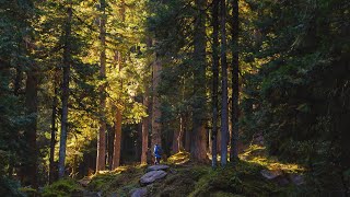 Walking alongside a stream to Kuppar Peak