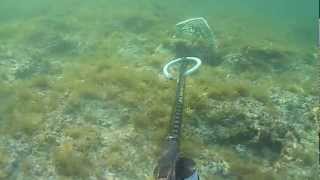 test precisione salvimar voodoo carbon 85