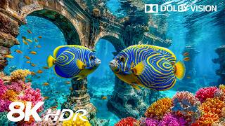 Dreamlike Deep Sea Creatures in 8K HDR | Dolby Vision™