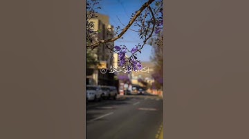 سورة فاطر || الشيخ محمود خليل الحصري ☘️