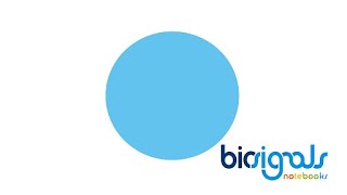 biosignalsnotebooks