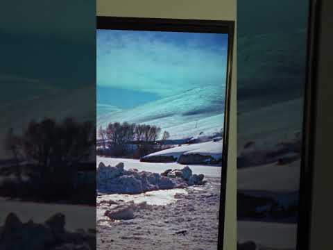 The Searchers -