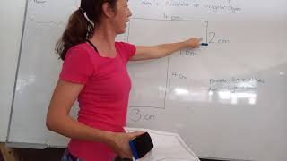 Area and perimeter of irregular objects screenshot 3