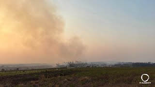 No Paraná, governador decreta emergência de estiagem