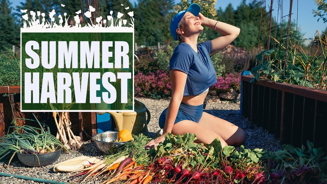 Летний урожай в саду моих родителей! Я — ВОЛК ДИКОЙ ПРИРОДЫ