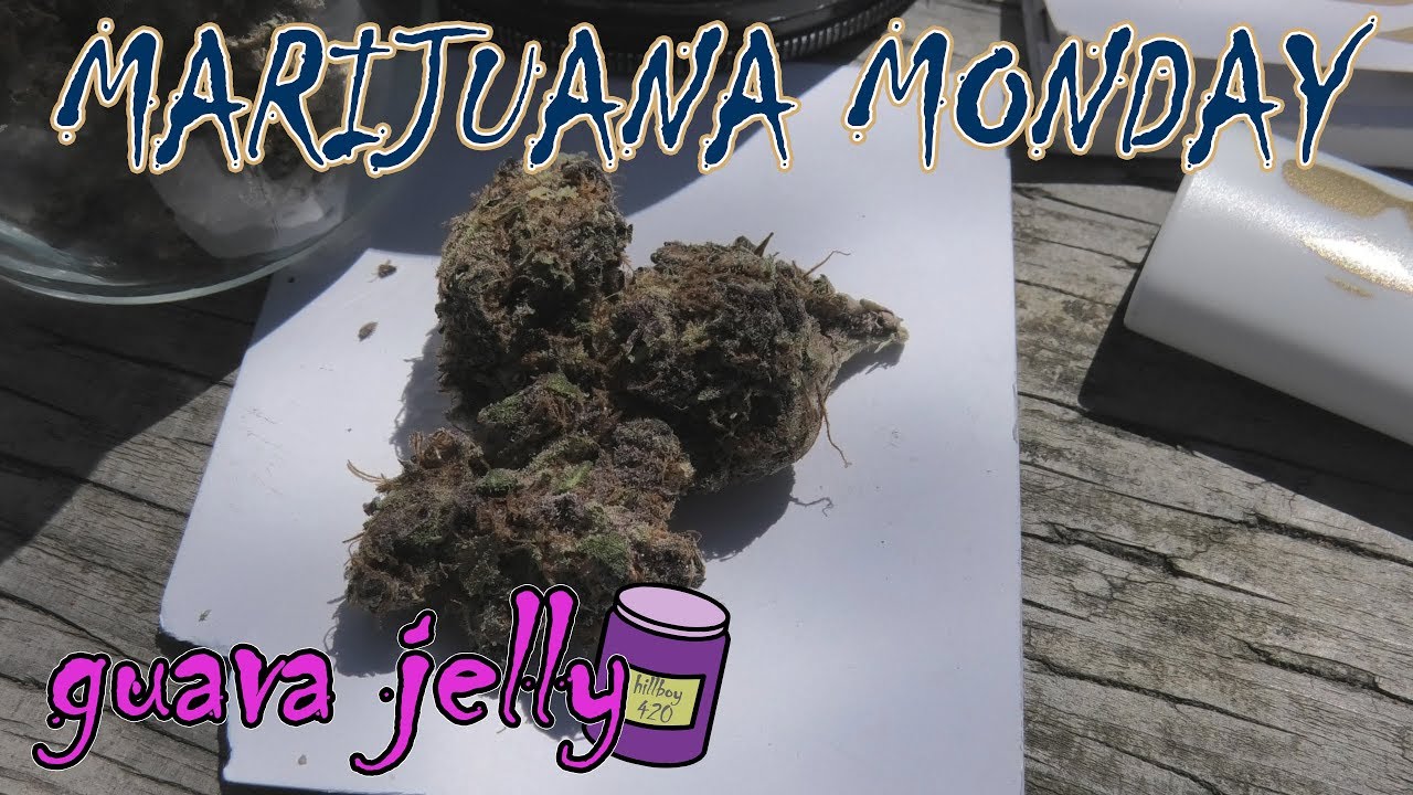 Guava Jelly Marijuana Monday Funkdoobiest Edition YouTube