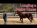 Lunging a Pushy Horse with Lisa Gentile