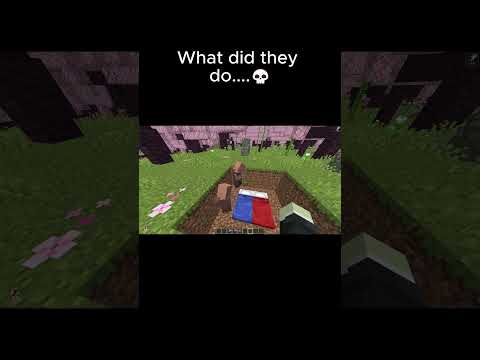 minecraft meme