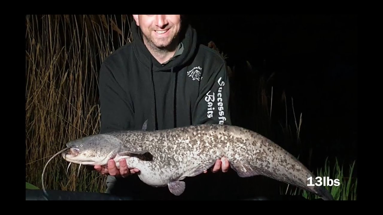 Willowcroft Fisheries Cafe Lake Runs Water 24 Hours YouTube