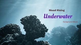 Beautiful view of underwater - Background music (Instrumental)