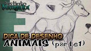 Desenhando bichos