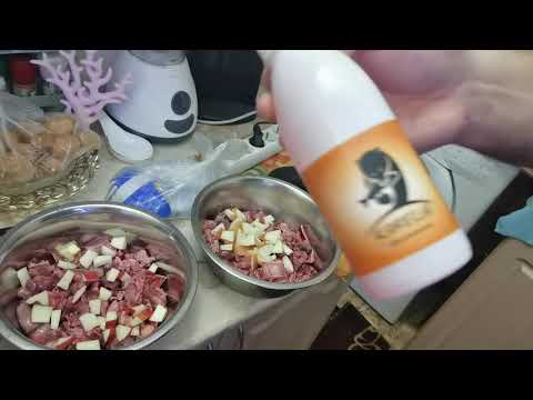 уровень ожирения у собак