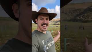 Planting a New Vineyard for Memorial Day