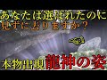 ⚠️神霊の宿る洞窟に現れた龍神の霊柱!龍の霊柱が見られる世界で唯一の動画!【福岡県京都郡苅田町 青龍窟 岩屋神社】【祭神:豊玉姫】