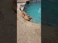 Marla video