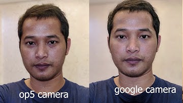 Google camera portrait vs Oneplus 5 camera portrait  comparison.