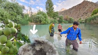Download Lagu Wild Honey Hunt in the Mountains! Crazy Adventure with Salman \u0026 Friends + Surprise Ending ✨\ MP3 Download Lagu Wild Honey Hunt in the Mountains! Crazy Adventure with Salman \u0026 Friends + Surprise Ending ✨\ MP3