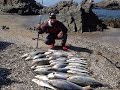 Pesca de Corvinas en Peru 2015!